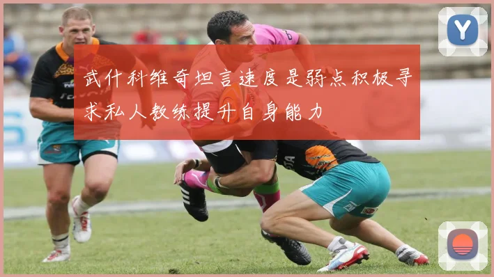 武什科维奇坦言速度是弱点积极寻求私人教练提升自身能力