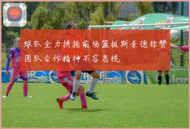 球队全力拼抢前场篮板斯奈德称赞团队合作精神不容忽视