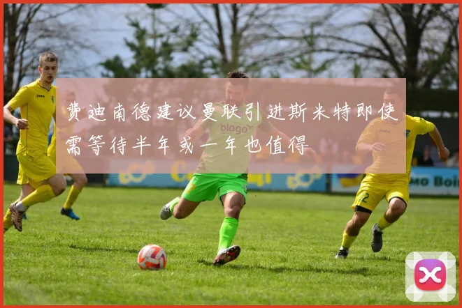 费迪南德建议曼联引进斯米特即使需等待半年或一年也值得