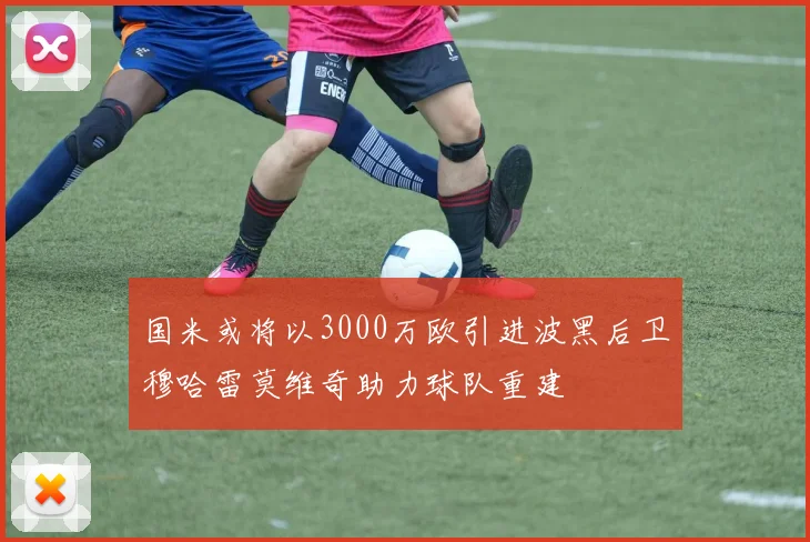 国米或将以3000万欧引进波黑后卫穆哈雷莫维奇助力球队重建